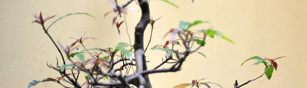 Gorgeous black gays reside fuck cam porn msn